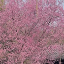 北京旅游 缩略图 10