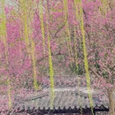 北京旅游 缩略图 7