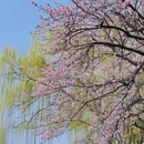 北京旅游 缩略图 4