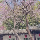 北京旅游 缩略图 9