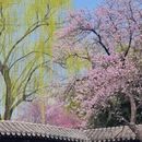 北京旅游 缩略图 5