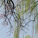 北京旅游 缩略图 11