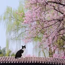 北京旅游 缩略图 1