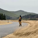 南京旅游 缩略图 4