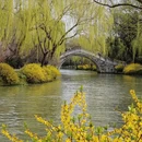 扬州旅游 缩略图 9