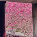 北京旅游 缩略图 12