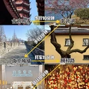 南京旅游 缩略图 3