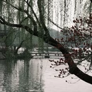 扬州旅游 缩略图 16