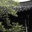 扬州旅游 缩略图 14