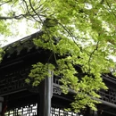 扬州旅游 缩略图 13