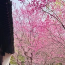 北京旅游 缩略图 14