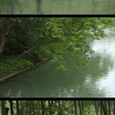 扬州旅游 缩略图 2