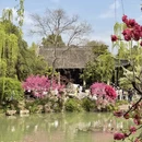 扬州旅游 缩略图 6