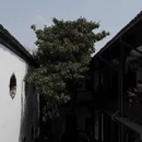 扬州旅游 缩略图 10