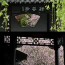 扬州旅游 缩略图 8