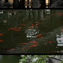 扬州旅游 缩略图 9