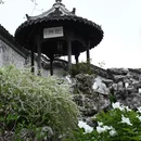 扬州旅游 缩略图 10