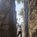 黄山旅游 缩略图 7