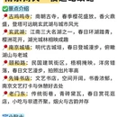 南京旅游 缩略图 6