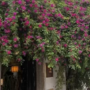 苏州旅游 缩略图 1