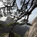 黄山旅游 缩略图 8