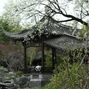 扬州旅游 缩略图 12