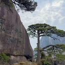 黄山旅游 缩略图 13