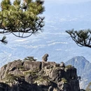 黄山旅游 缩略图 11
