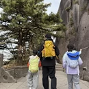 黄山旅游 缩略图 9