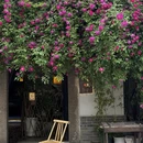 苏州旅游 缩略图 5