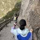 黄山旅游 缩略图 10