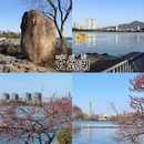 南京旅游 缩略图 16