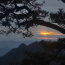 黄山旅游 缩略图 5