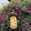 苏州旅游 缩略图 3