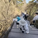 黄山旅游 缩略图 3