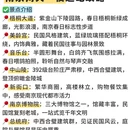 南京旅游 缩略图 5