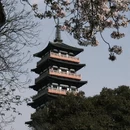 扬州旅游 缩略图 13