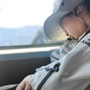 黄山旅游 缩略图 5