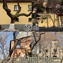 南京旅游 缩略图 17