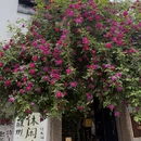 苏州旅游 缩略图 10