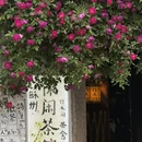 苏州旅游 缩略图 11