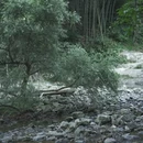 台州旅游 缩略图 9