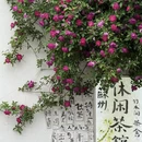 苏州旅游 缩略图 6