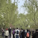 上海旅游 缩略图 1
