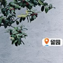 苏州旅游 缩略图 11