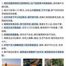 扬州旅游 缩略图 4