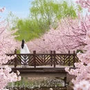 南京旅游 缩略图 6