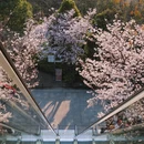 南京旅游 缩略图 16