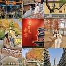 上海旅游 缩略图 5