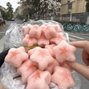南京旅游 缩略图 15